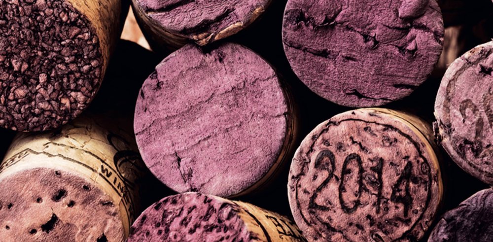 Qu’est-ce qu’un vin tanique ? (Grappilleur n°128)