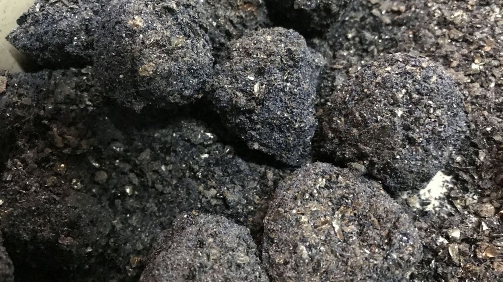 À la recherche des « ronds de sorcière » (Grappilleur n°134)