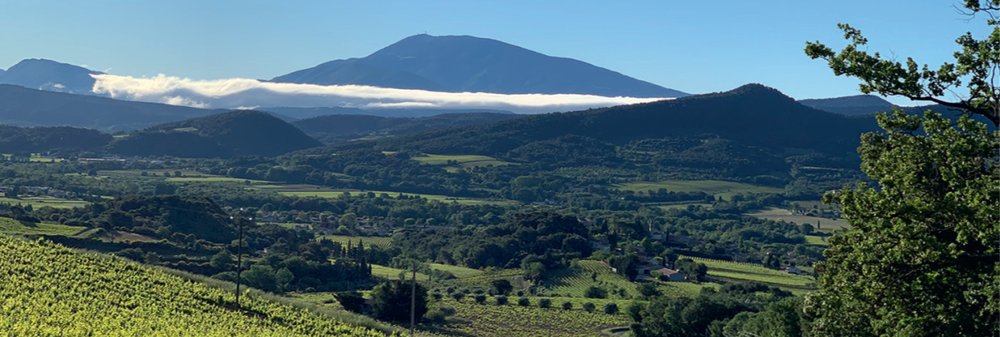Les Côtes du Rhône 2000 ans d’histoire (Grappilleur n°121)