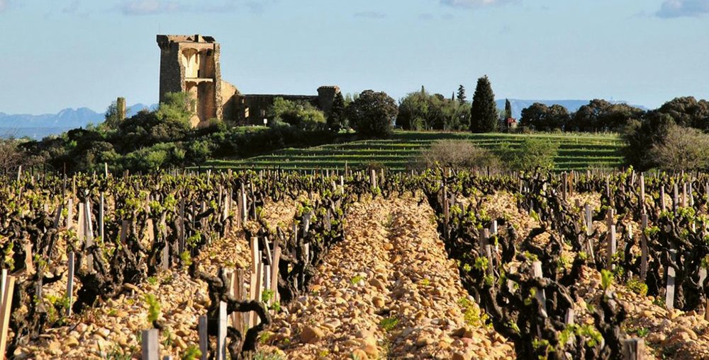Les Côtes du Rhône 2000 ans d’histoire (Grappilleur n°123)